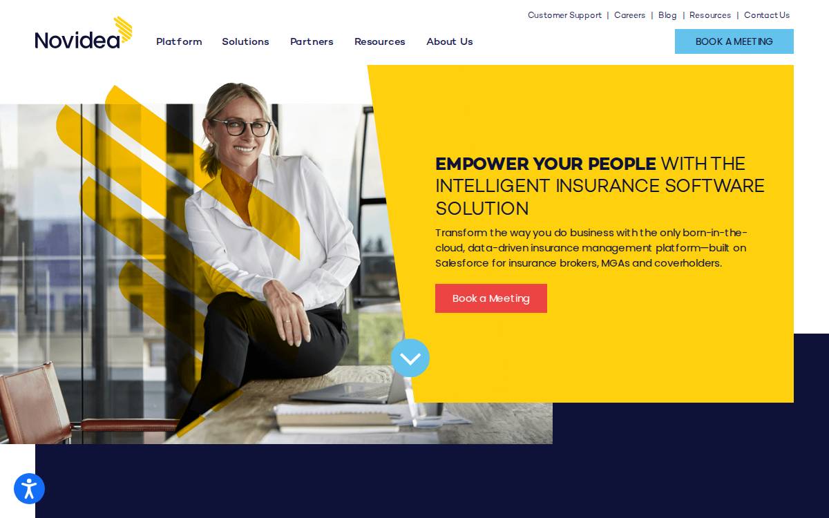 Novidea website preview