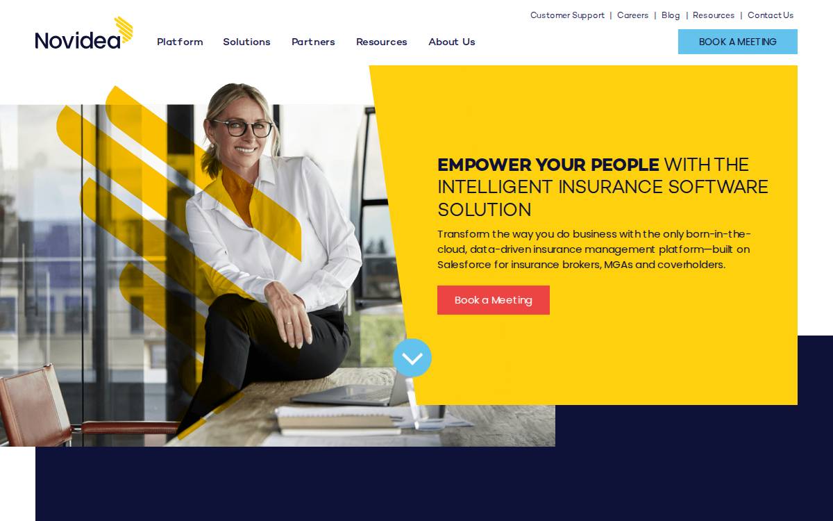 Novideasoft website preview