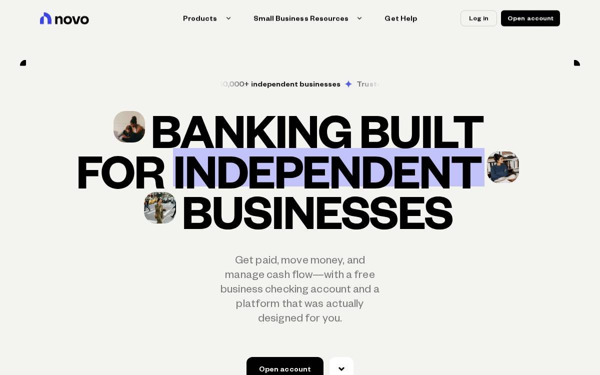 Novo website preview