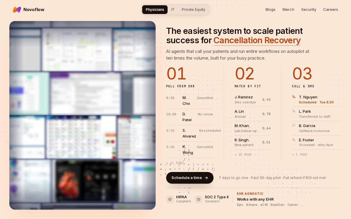 Novoflow website preview