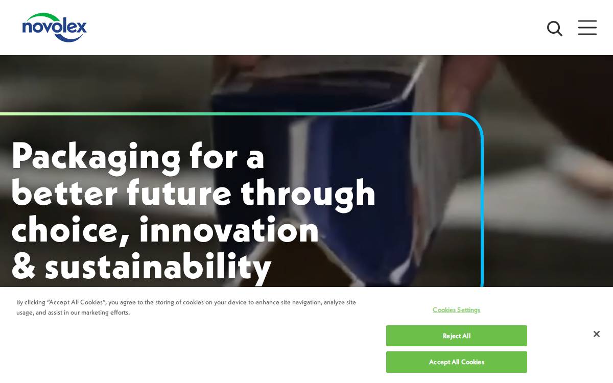 Novolex website preview