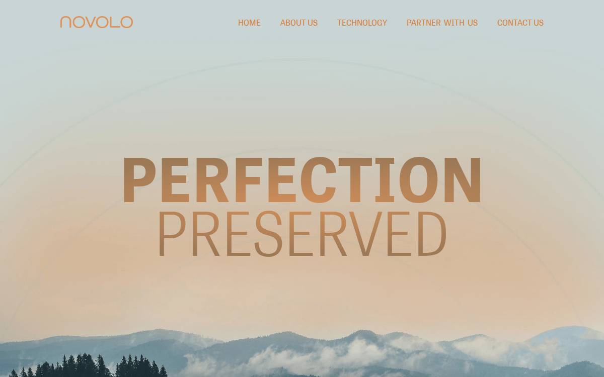 Novolo website preview