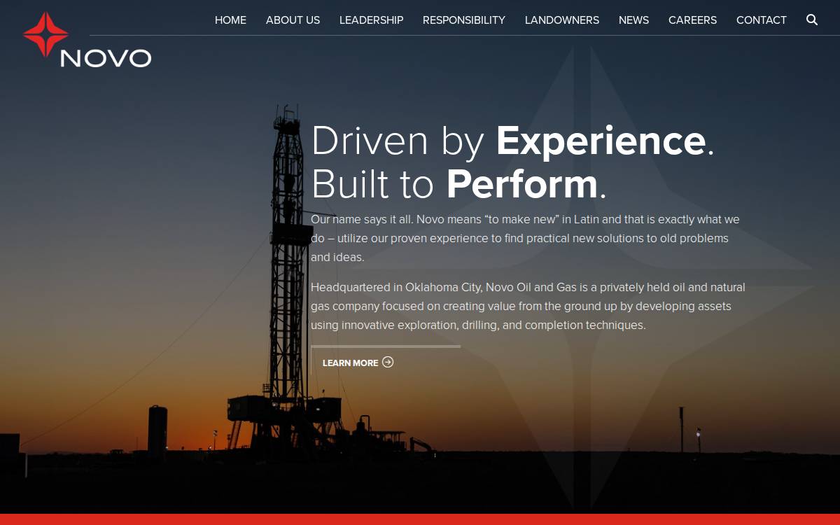 Novoog website preview