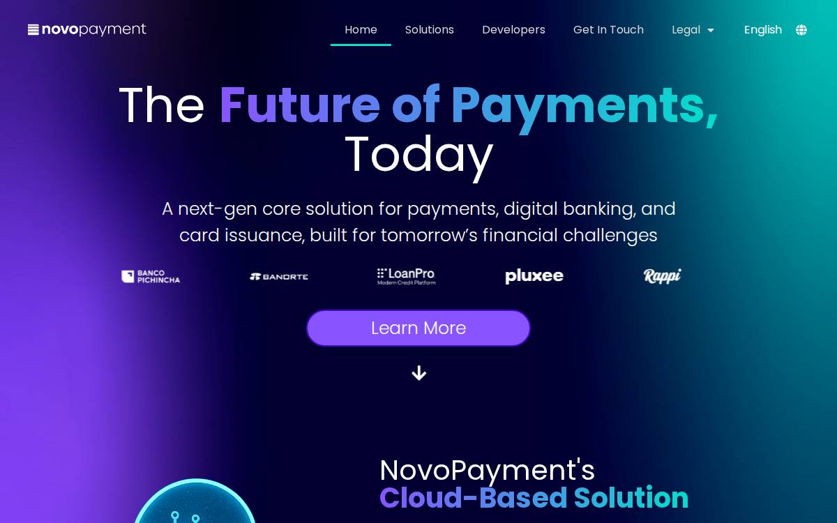 Novopayment website preview