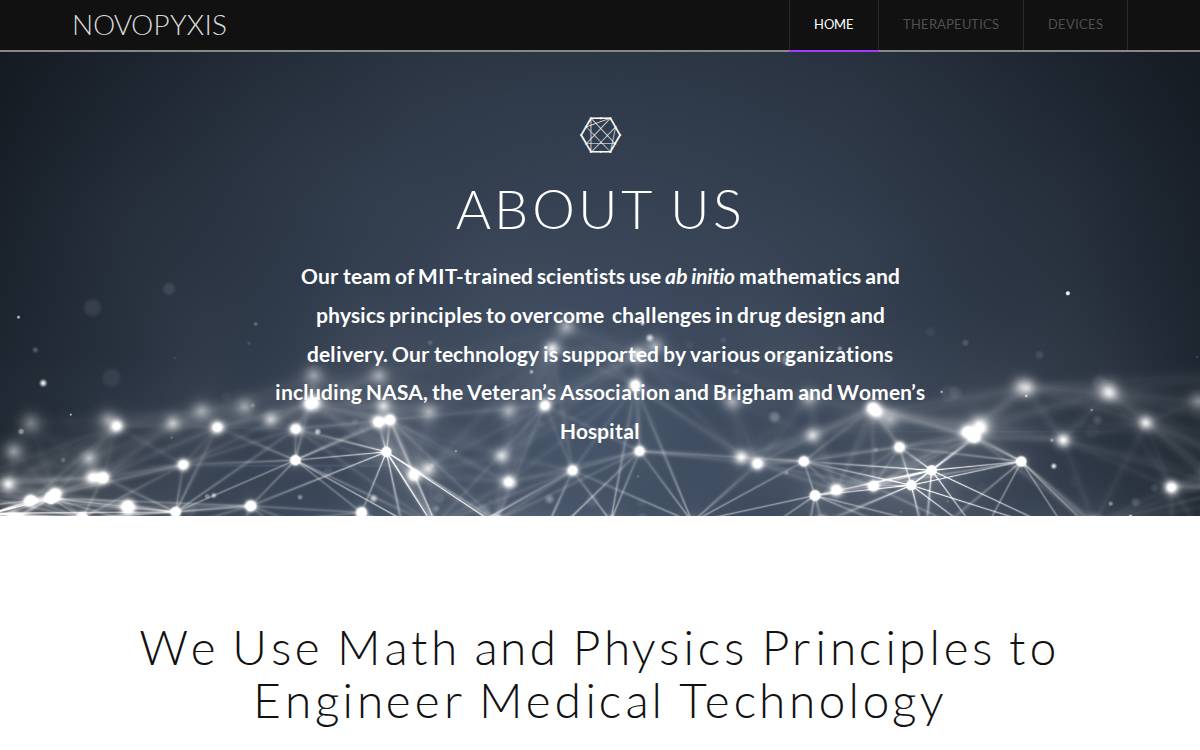 Novopyxis website preview