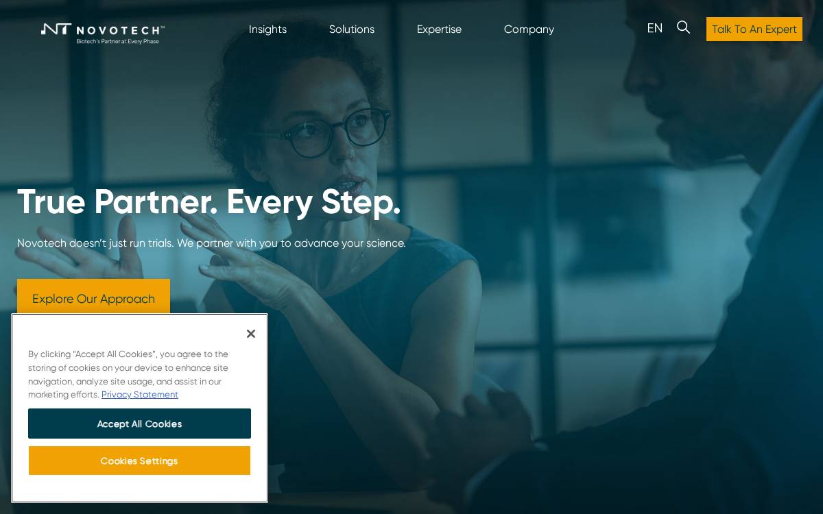 Novotech website preview