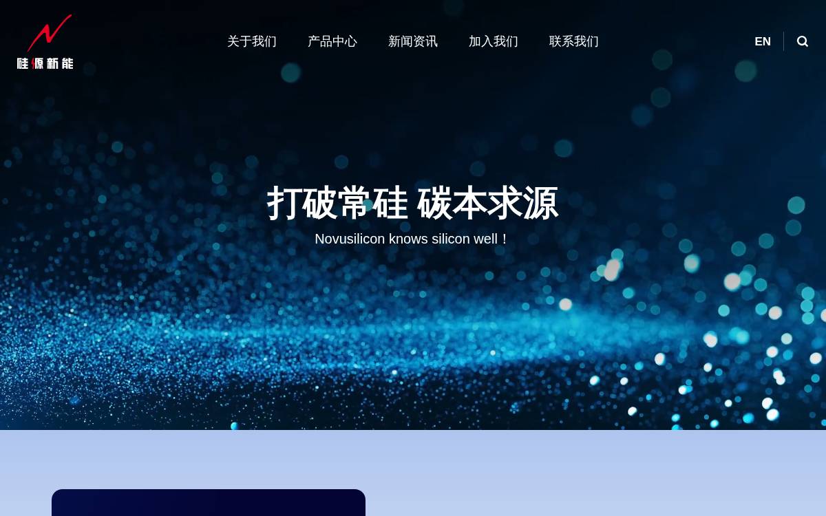 Novusil website preview