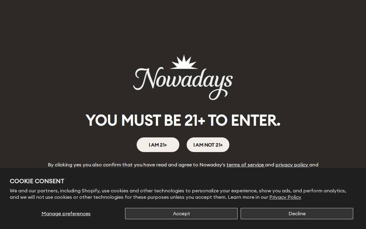 Nowadays website preview