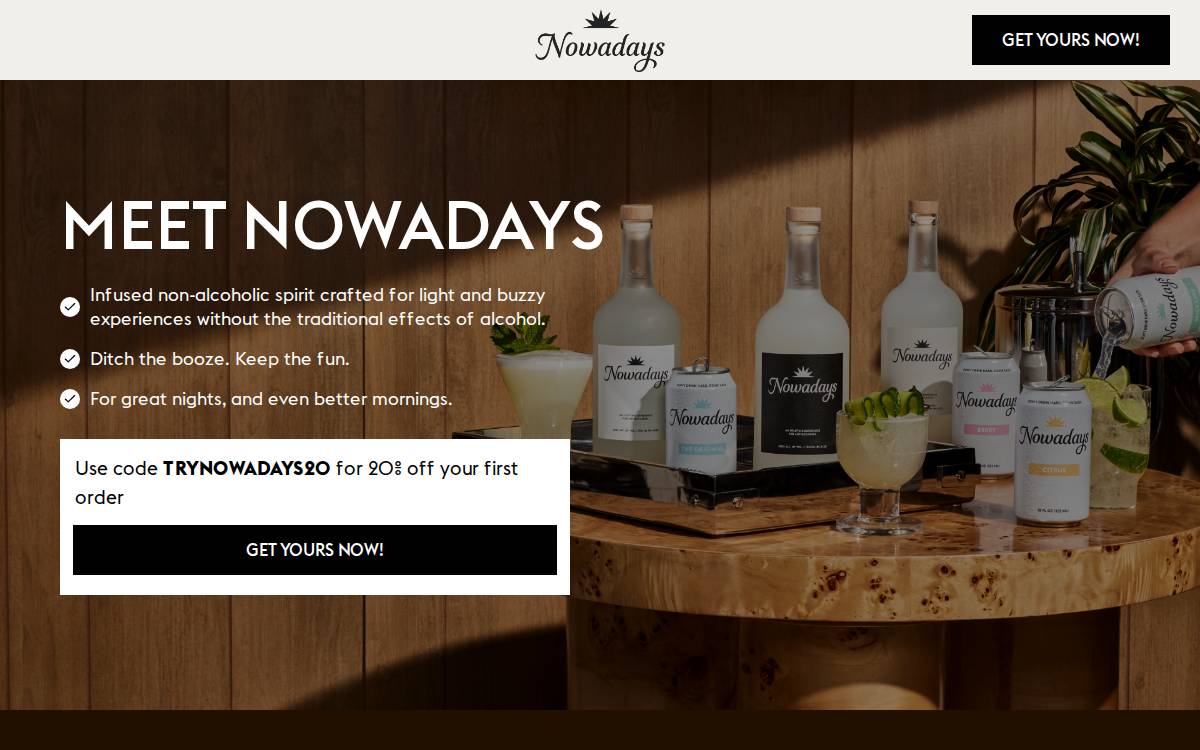 Nowadays website preview