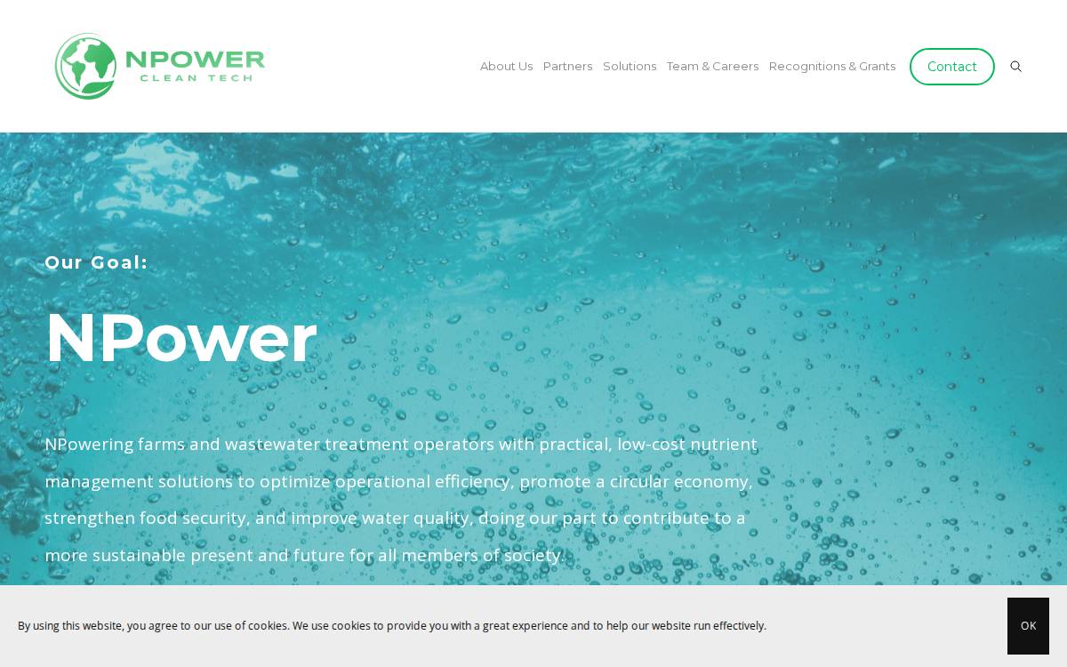 NPower website preview