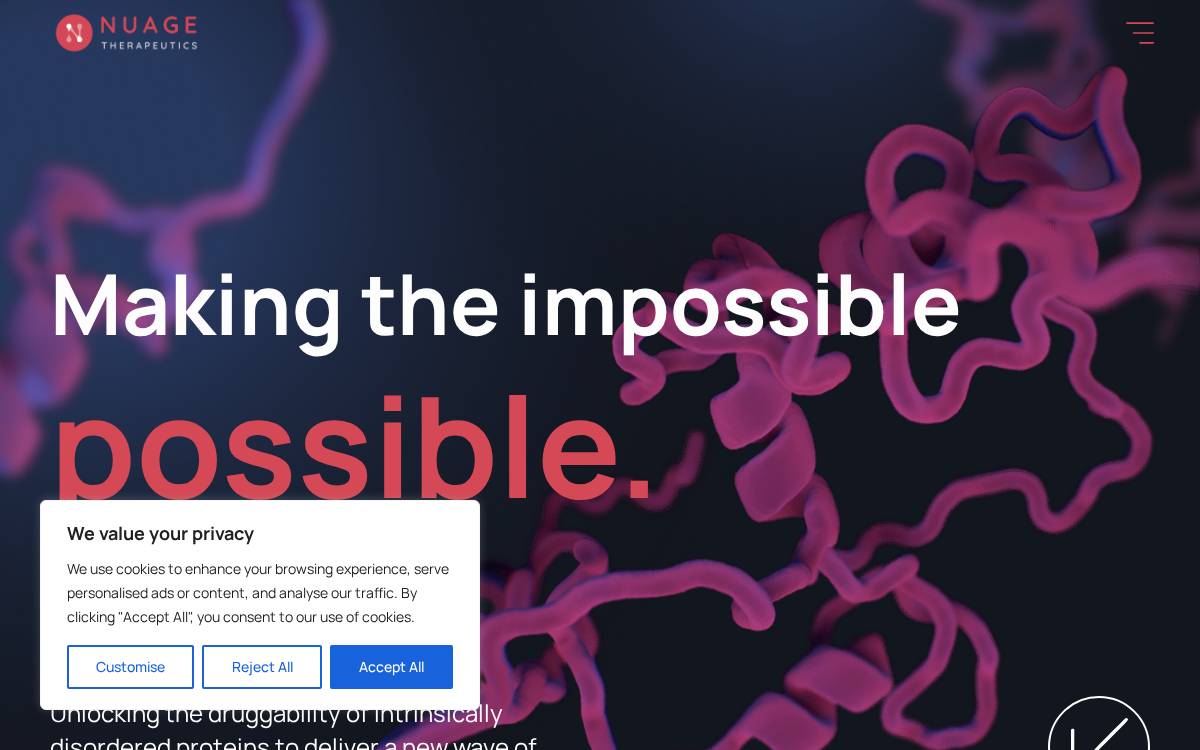 Nuage website preview