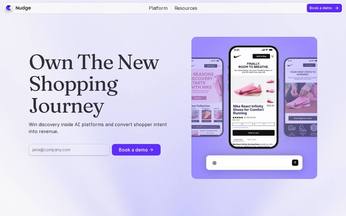 Nudge website preview