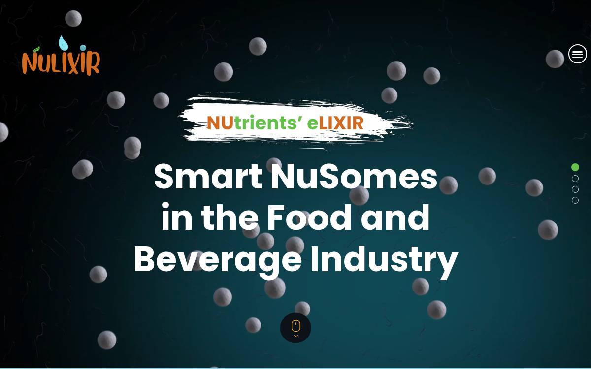 Nulixir Inc. website preview
