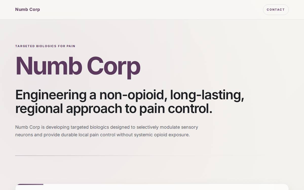 Numbcorp website preview