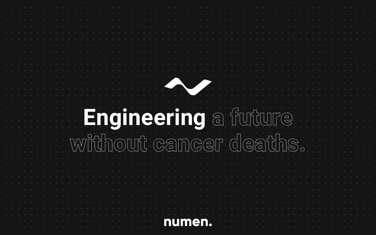 Numen website preview