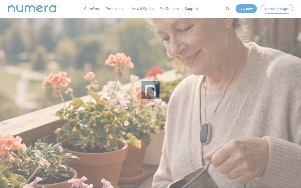 Numera website preview