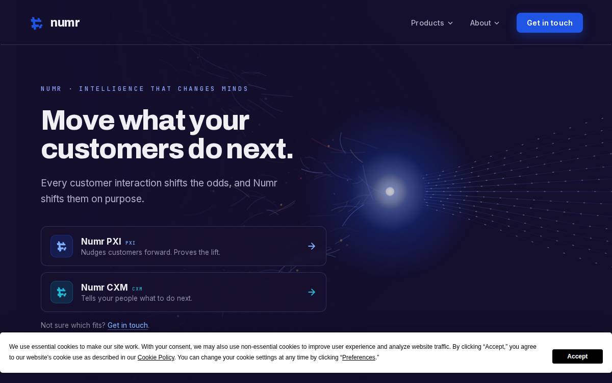 Numr website preview