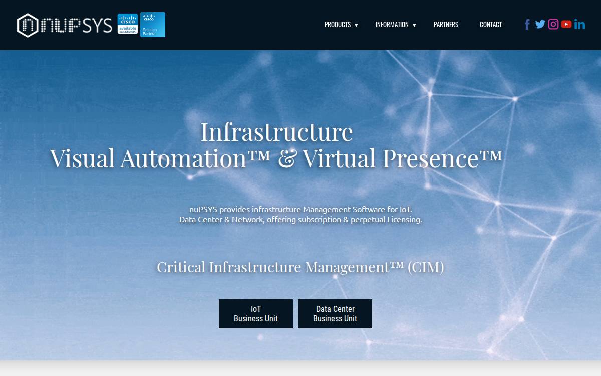 Nupsys website preview