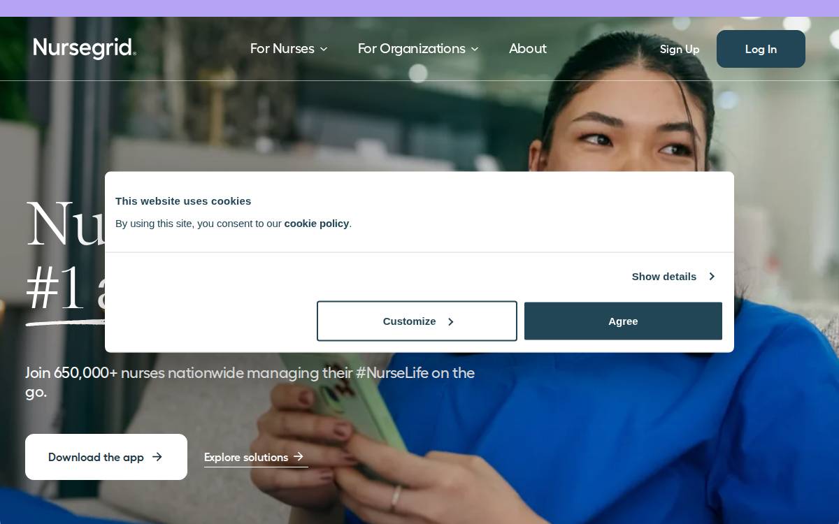 Nursegrid website preview