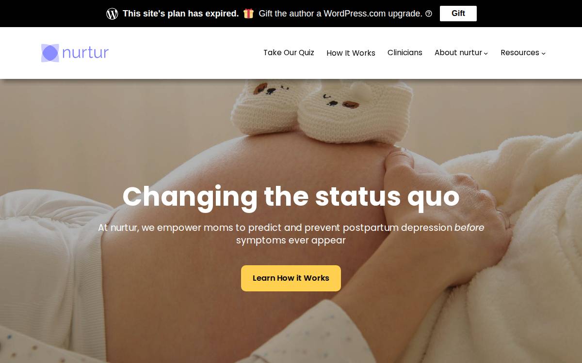 Nurtur website preview