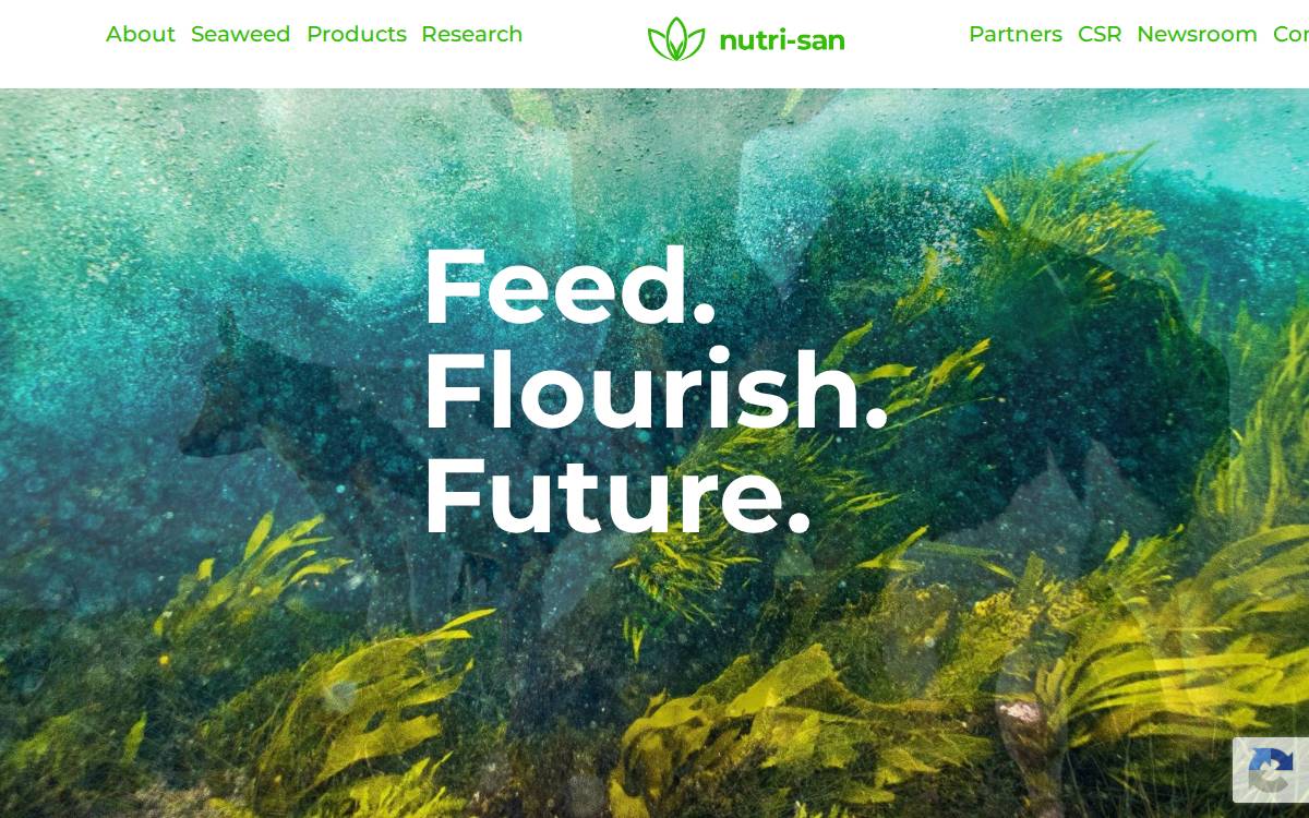 Nutri-San Seed website preview