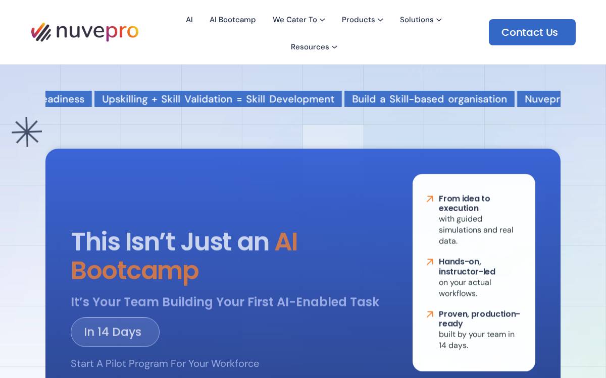 Nuvepro website preview