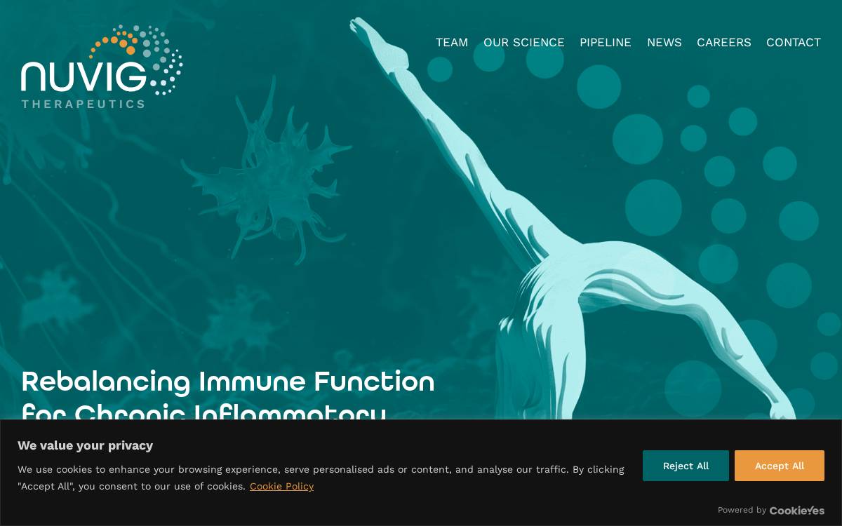 Nuvig website preview