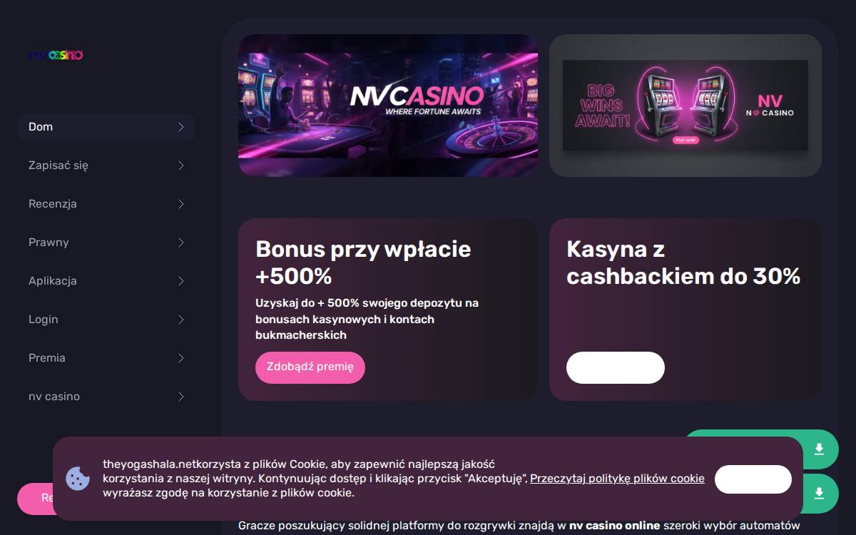 nv casino website preview