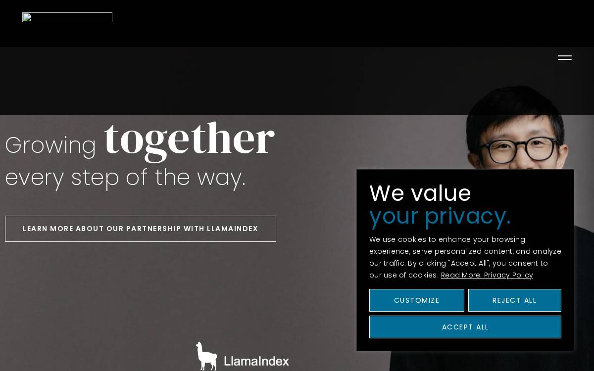 NVP website preview