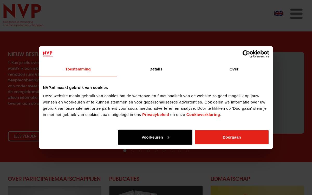 Nvp website preview
