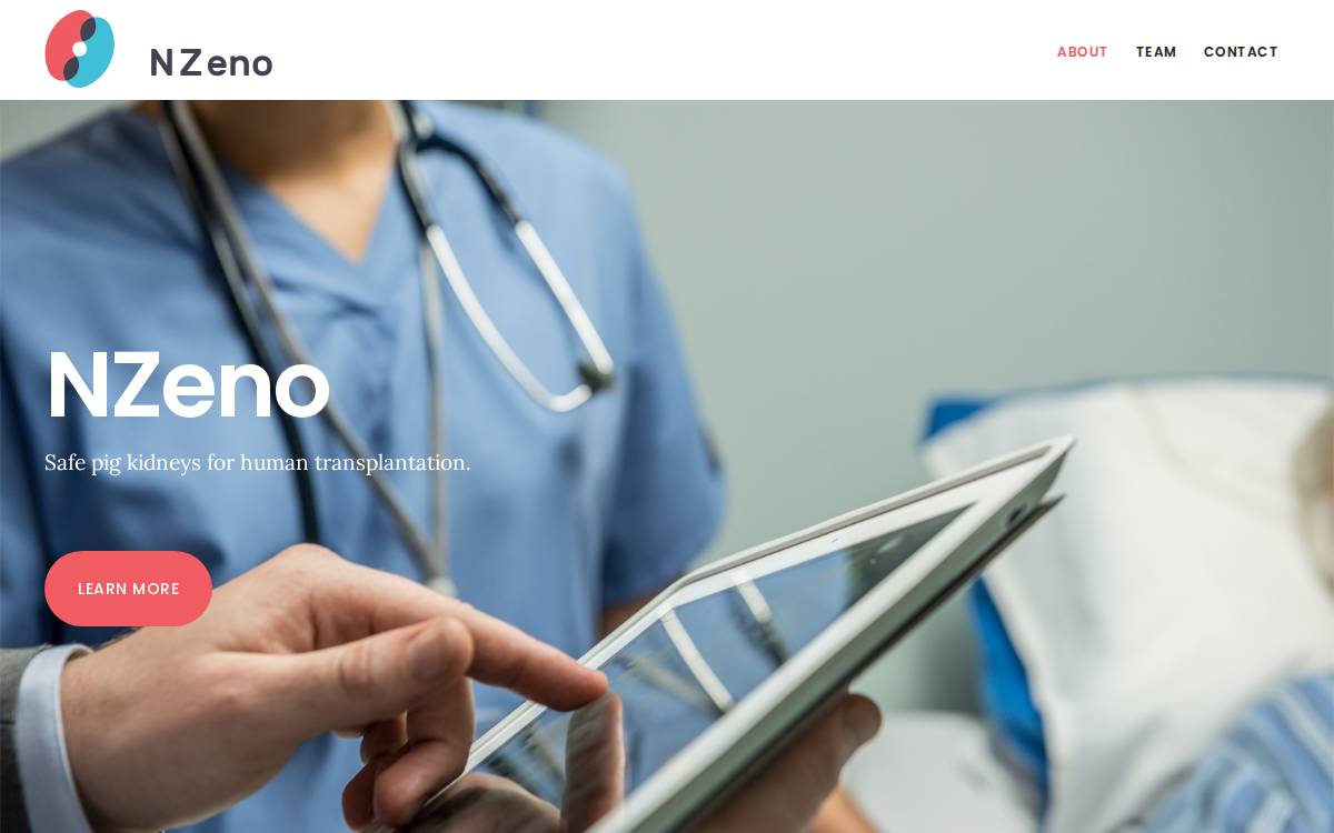 NZeno website preview