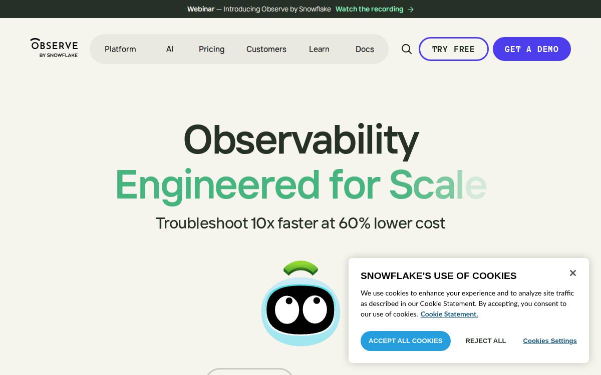 Observe website preview