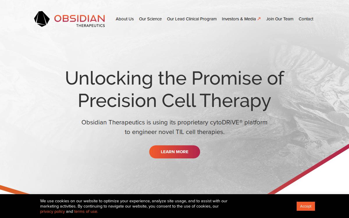 Obsidiantx website preview
