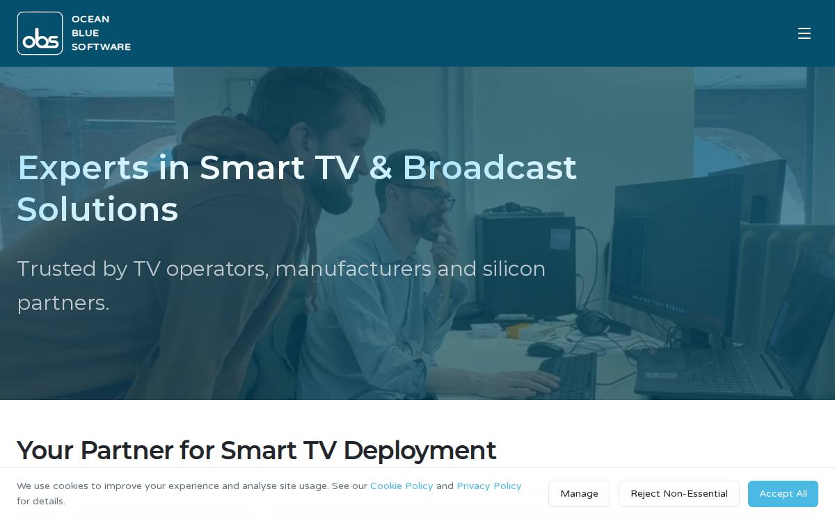 Ocean Blue Software website preview