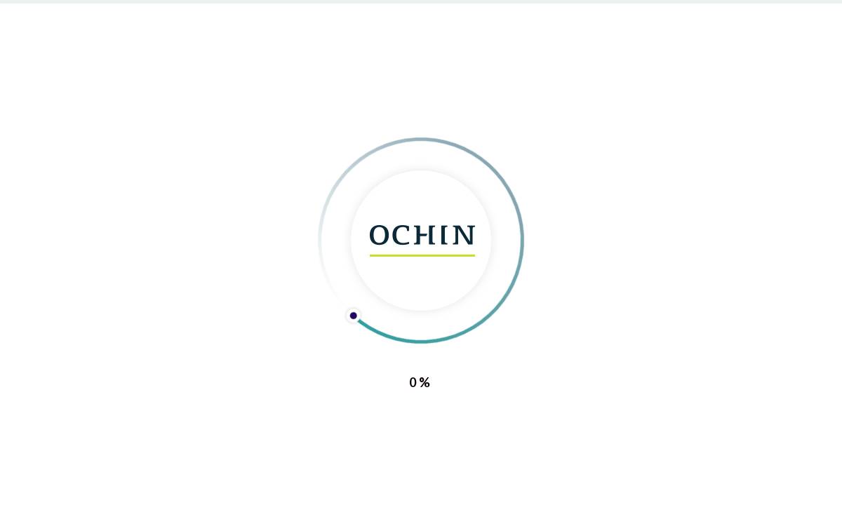 Ochin website preview
