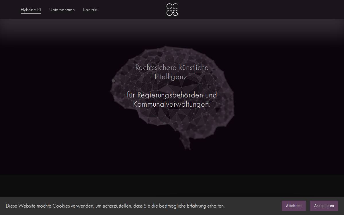 Ocos Solutions website preview