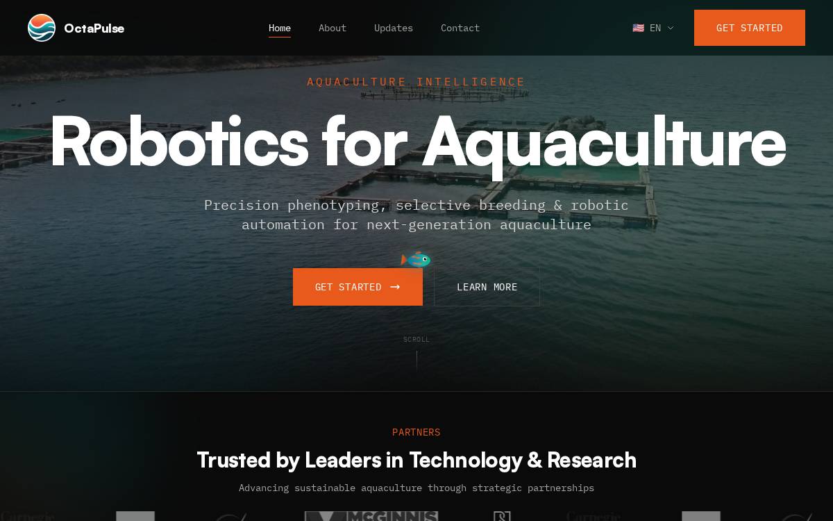 OctaPulse website preview