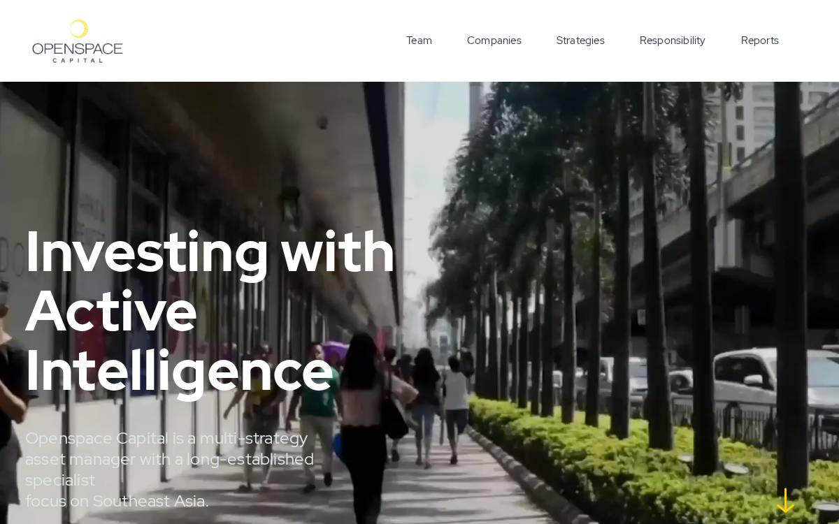 Ocular website preview