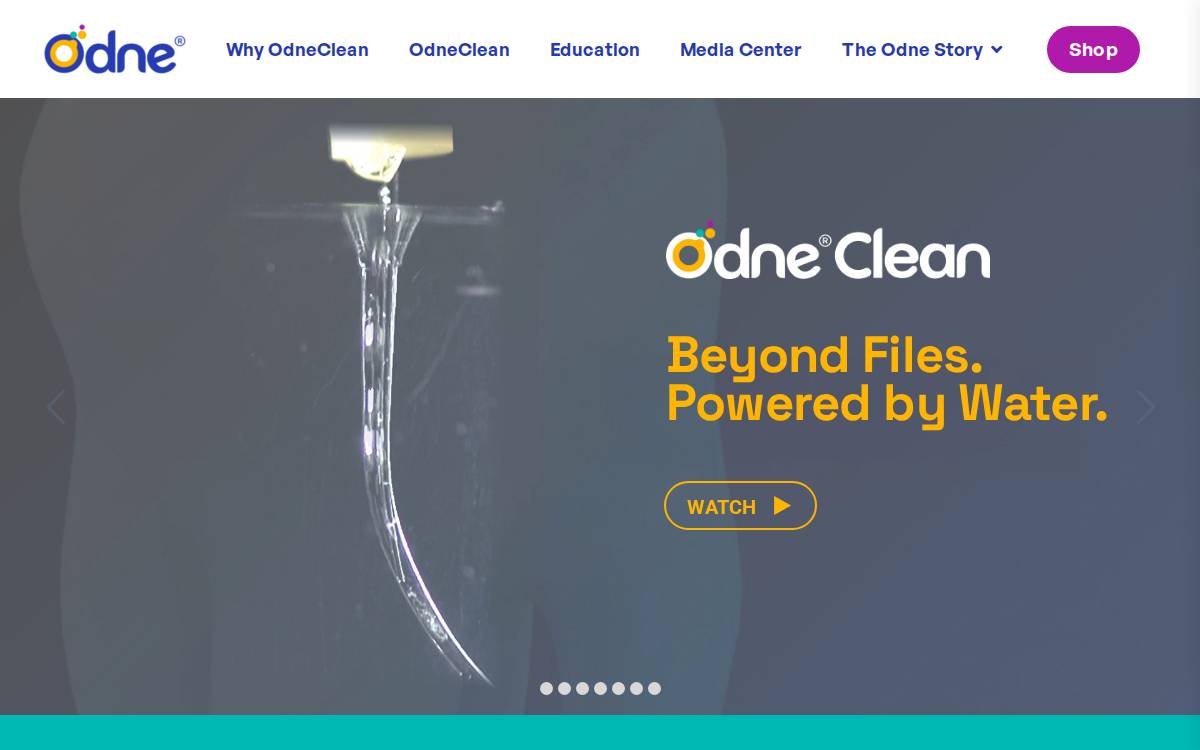 Odne website preview