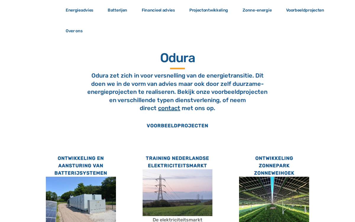 Odura website preview