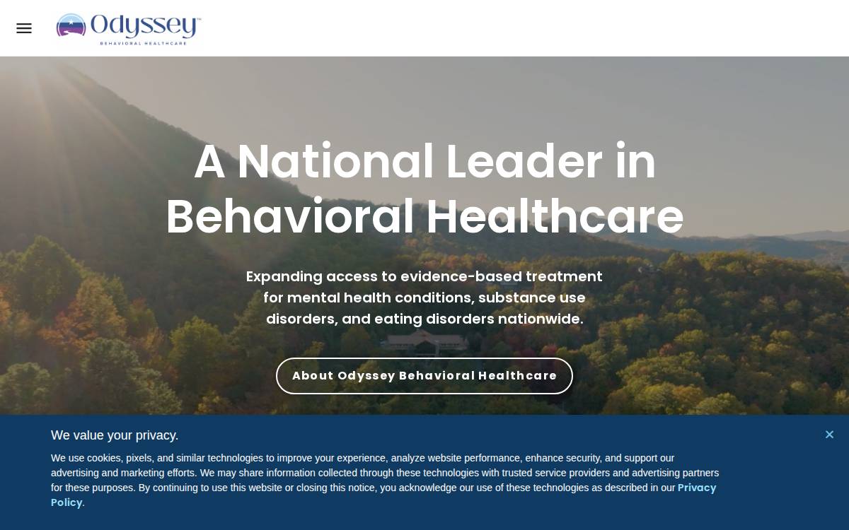Odyssey Behavioral Healthcare, LLC website preview