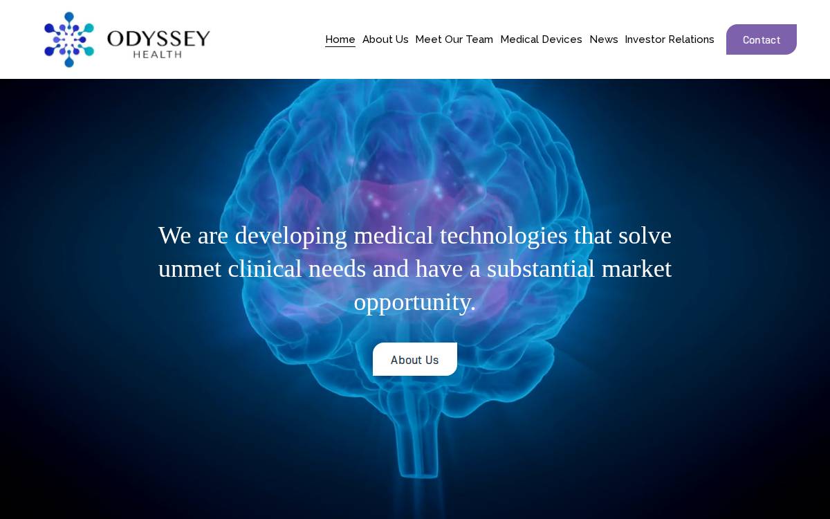 Odyssey Group International website preview