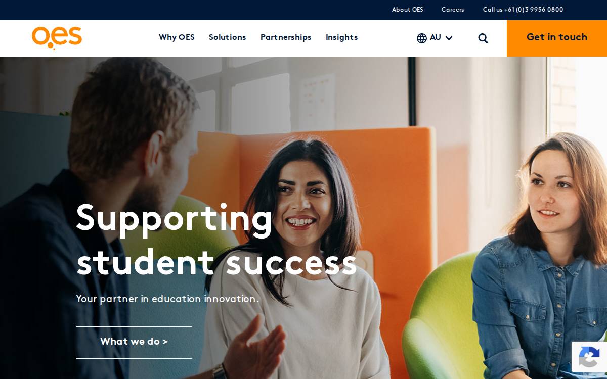 OES website preview