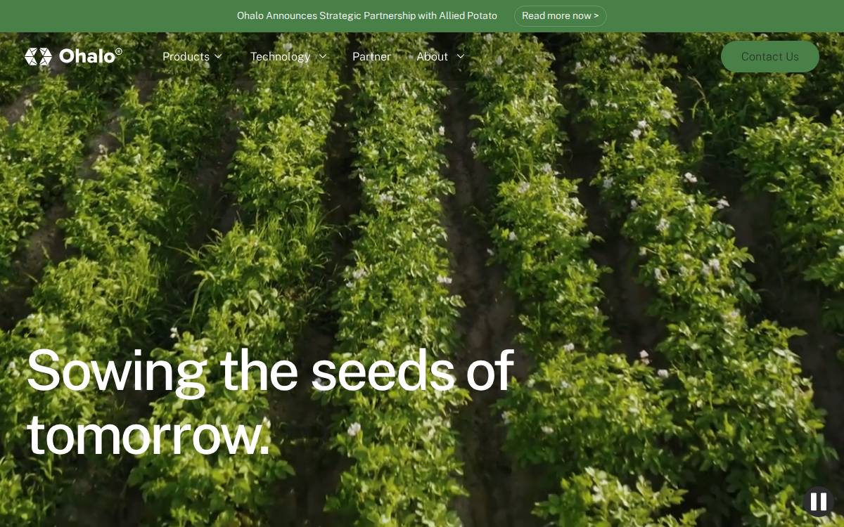 Ohalo website preview
