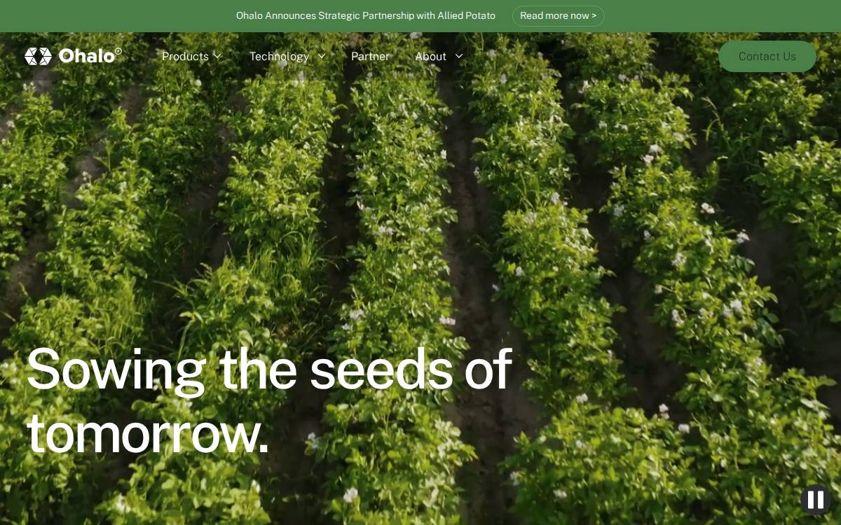 Ohalo Genetics website preview
