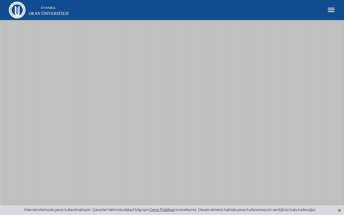 Okan Üniversitesi website preview