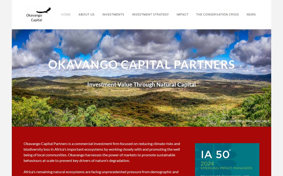 Okavango Capital website preview