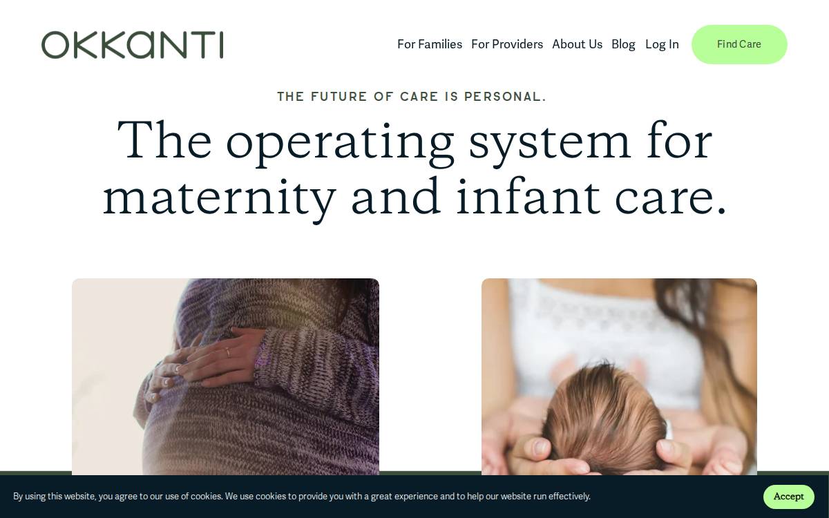 Okkanti website preview