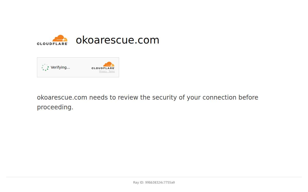 OKOA website preview