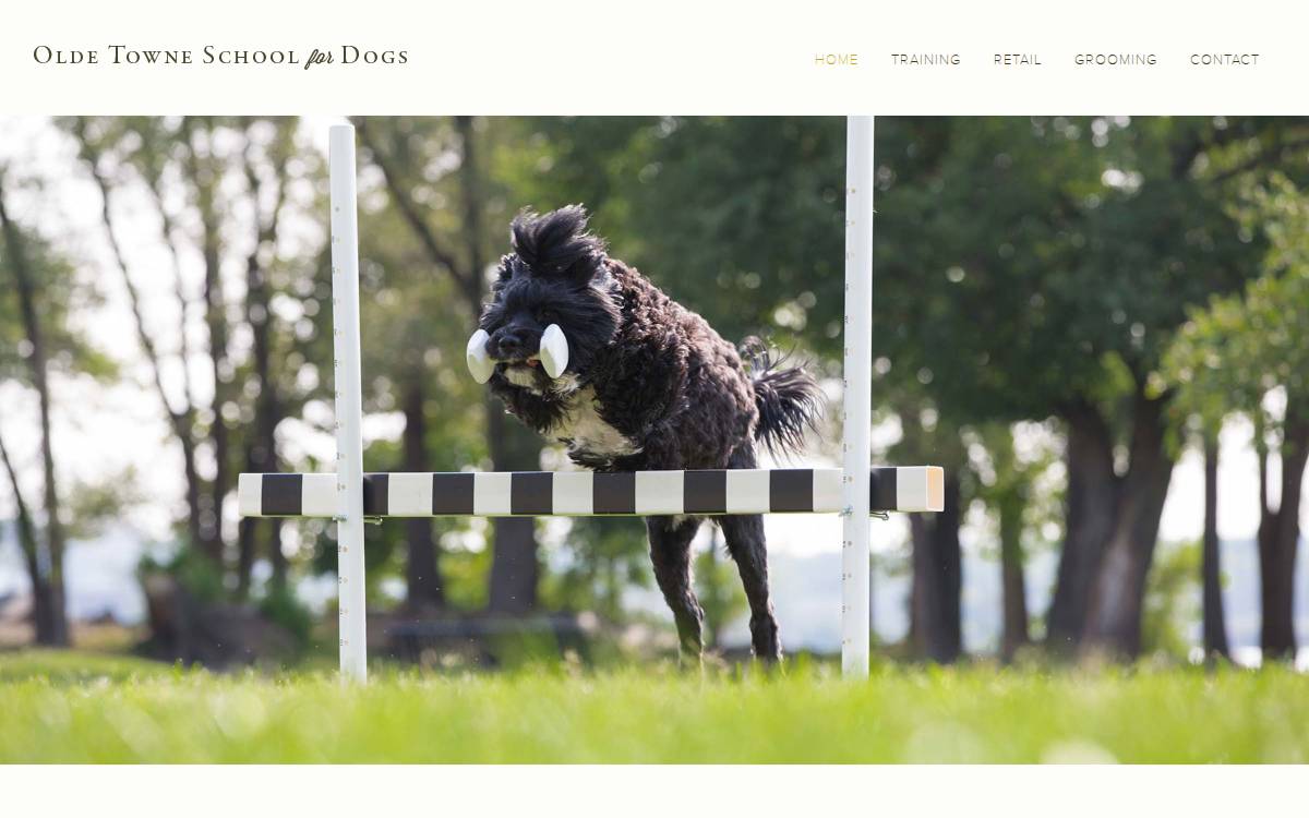 Olde Towne School for Dogs website preview